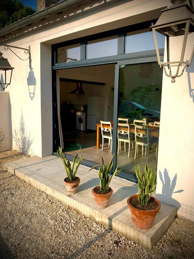 Viva La Vida Villa Entraigues-sur-la-Sorgue Kültér fotó